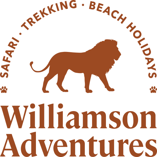 Williamson Adventures